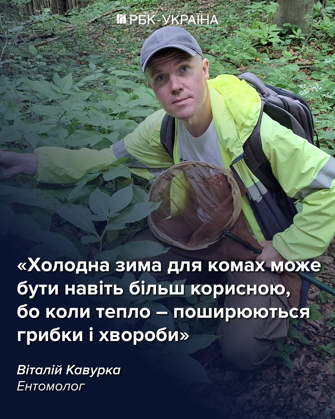 Як морози рятують комах від загибелі: неочевидні факти про "шкідників" та запилювачів